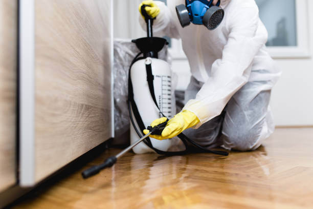 Trusted Denver, CO Pest Control Experts