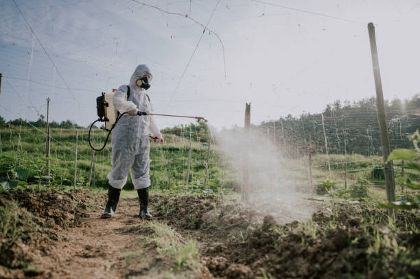 Best Commercial Pest Control Services  in Denver, CO