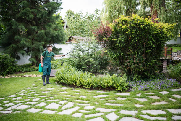 Best Best Pest Control Companies  in Denver, CO
