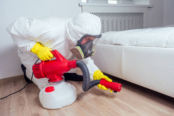 Best Insect Control  in Denver, CO
